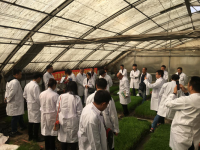 “頂苗新”東北上市會暨使用技術交流會 環保技術推廣助力綠色農業