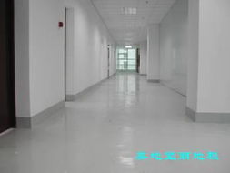 深圳建材市場新風向 聚焦無塵室與車間地坪解決方案